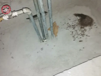 鄂尔多斯卫生间测漏水价格明细